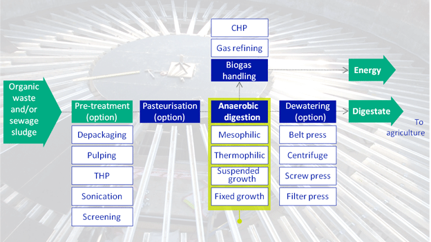 Anaerobic Digestion Process